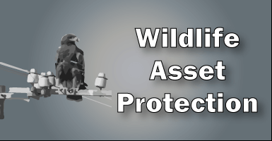 Wildlife-Asset-Protection